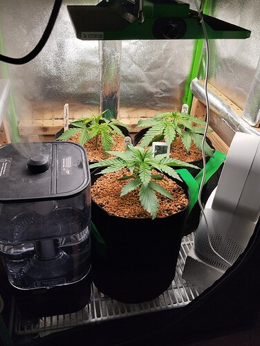 Growreport Bild 6