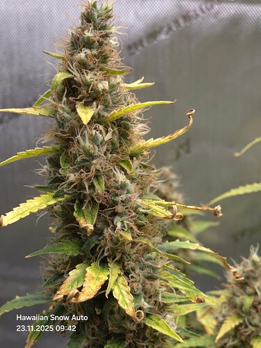 Growreport Bild 12