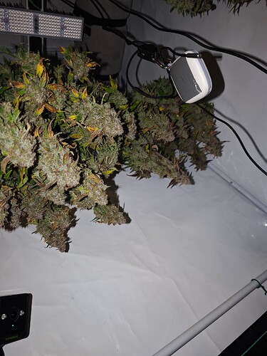 MVIMG_20251204_200732