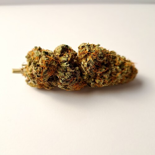 Growreport Bild 32