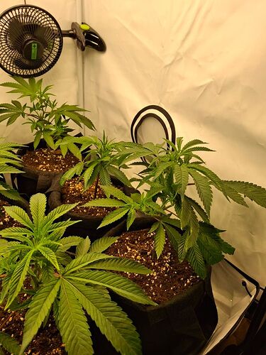 Growreport Bild 2
