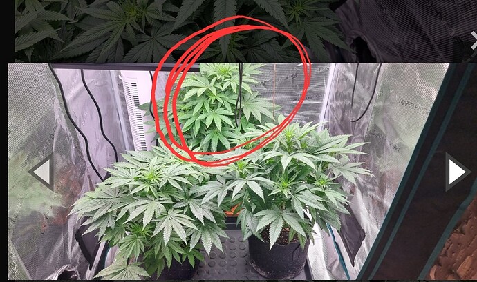 Growreport Bild 10