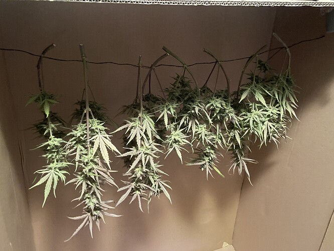 Growreport Bild 2