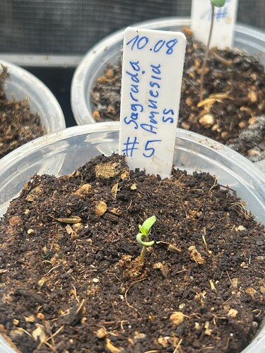 Growreport Bild 23