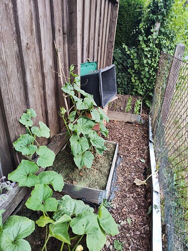 Growreport Bild 35
