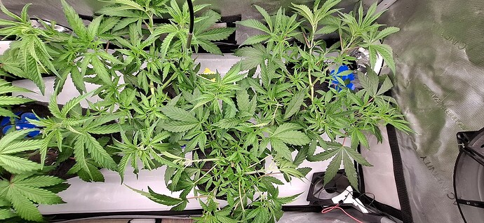 Growreport Bild 13
