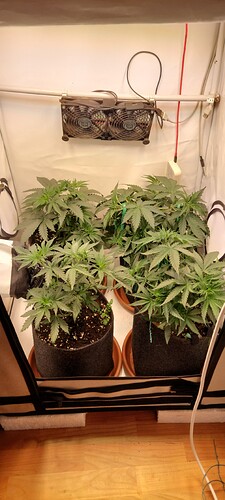 Growreport Bild 5
