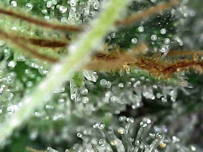 Photo_2025-04-13 15_32_54_335