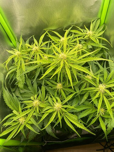 WhatsApp Bild 2024-05-07 um 18.52.19_21dec18f