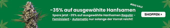 big-sale