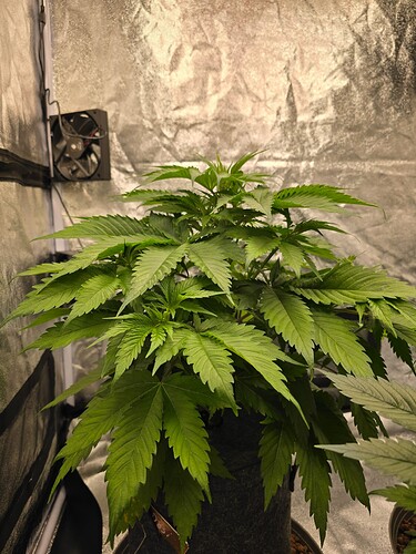 Growreport Bild 8