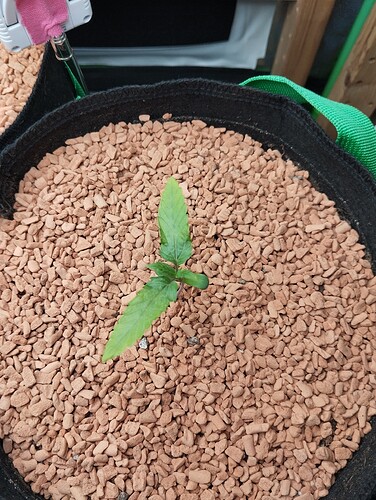 Growreport Bild 6