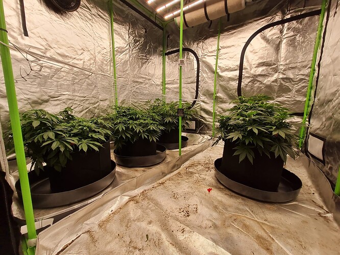 Growreport Bild 14