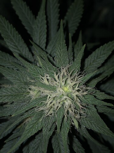 Growreport Bild 9