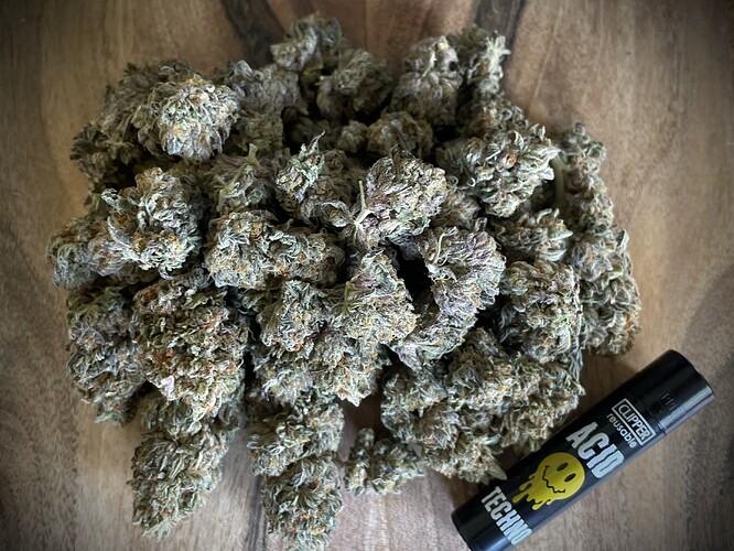 Growreport Bild 3