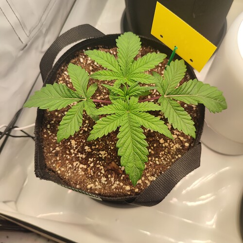 Growreport Bild 12
