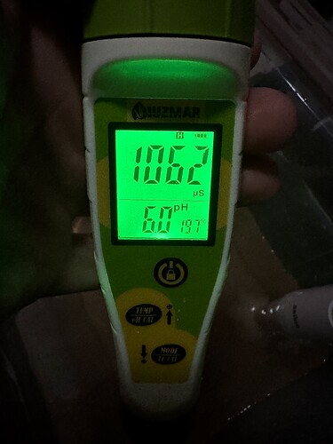 Growreport Bild 5