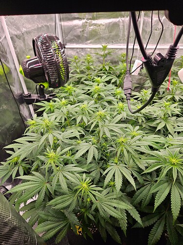 Growreport Bild 4