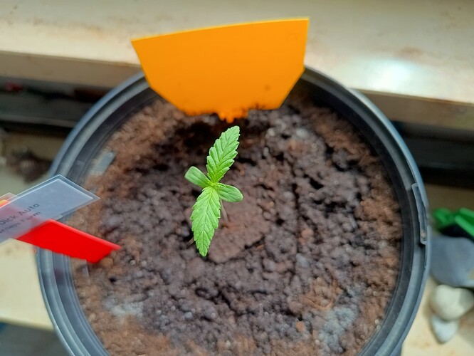 IMG_20240425_112349004_HDR