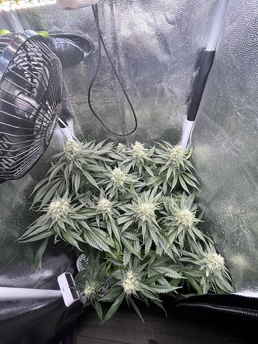 Growreport Bild 14