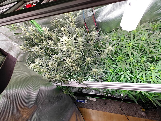 Growreport Bild 10