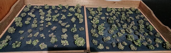 Growreport Bild 6
