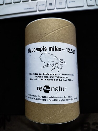 Eine braune Papprolle mit einem Etikett, das Informationen über Hypoaspis miles (Raubmilben) enthält, die zur Bekämpfung von Schädlingen wie Trauermücken, Wurzelläusen und Thripspuppen verwendet werden.