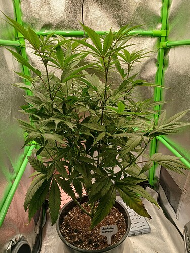 Growreport Bild 11