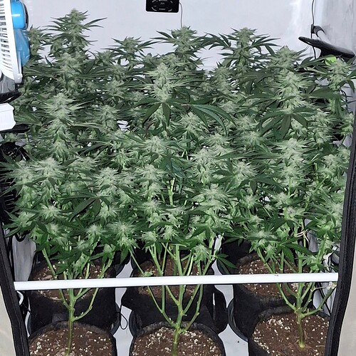 476290377_122166344012293599_7129730380414209087_n