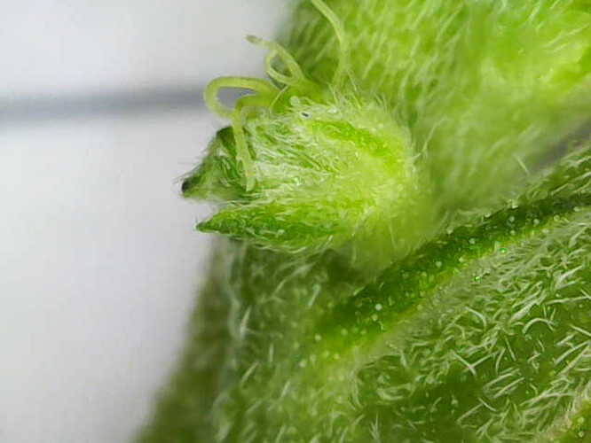 Image_2025-04-25 08_54_30_456