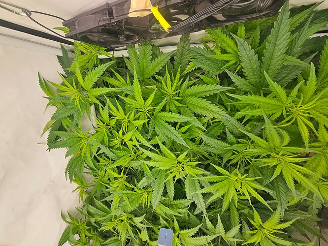 Growreport Bild 3