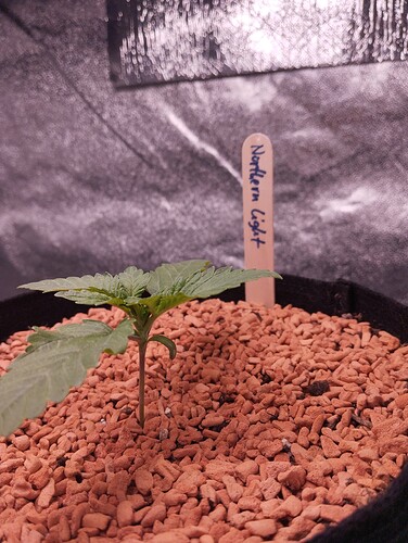 IMG_20241130_154845 - Kopie