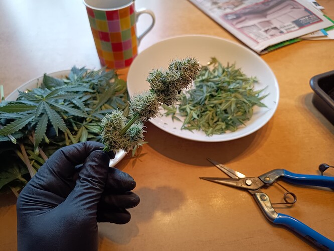 Growreport Bild 19