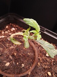 IMG_20240514_214943_625