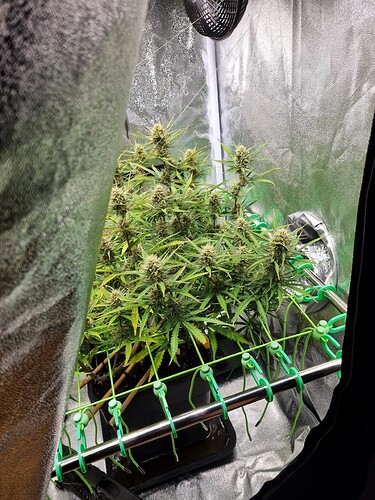 Growreport Bild 26