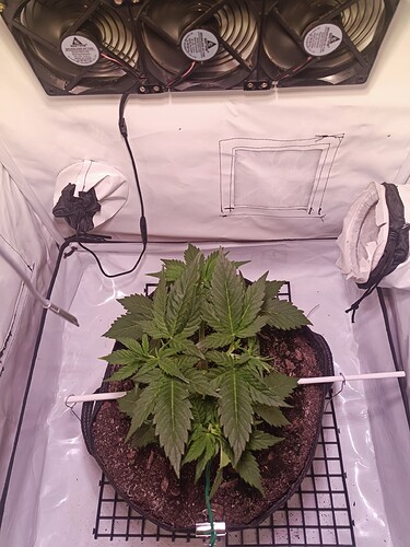Growreport Bild 6