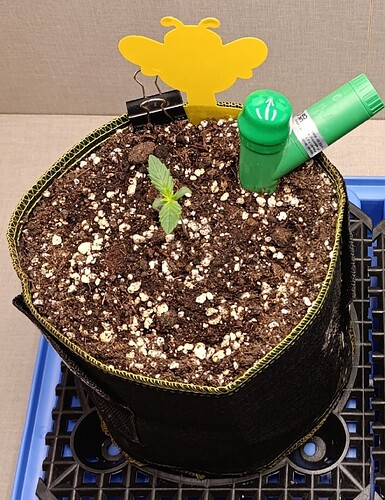 Growreport Bild 1
