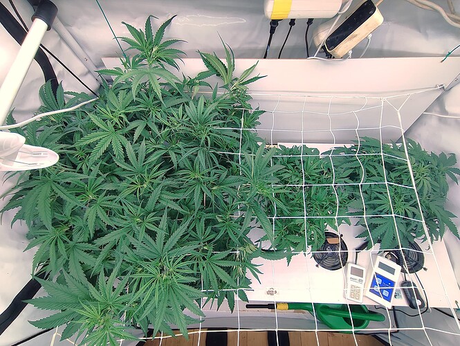 Growreport Bild 14