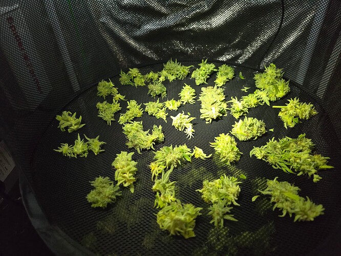 Growreport Bild 11