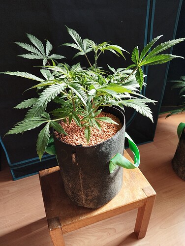 Growreport Bild 12