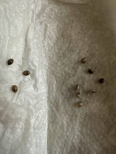Growreport Bild 8