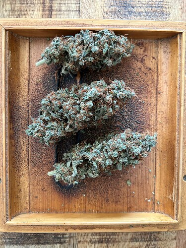 Drei getrocknete Cannabis-Buds liegen auf einem hölzernen Tablett.