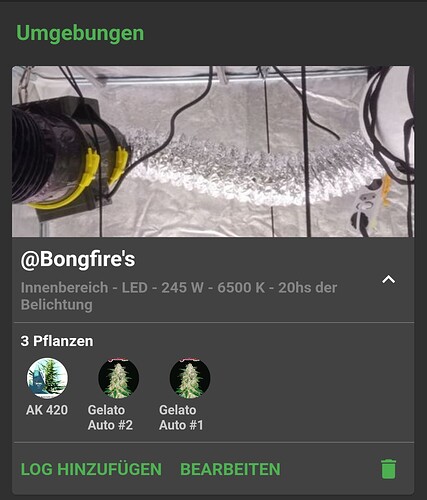 Screenshot_20240410-122516_Jane