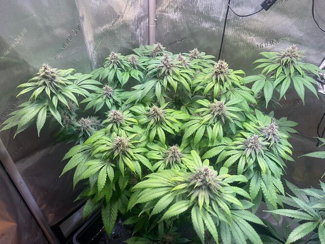 Growreport Bild 12