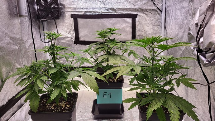Growreport Bild 24