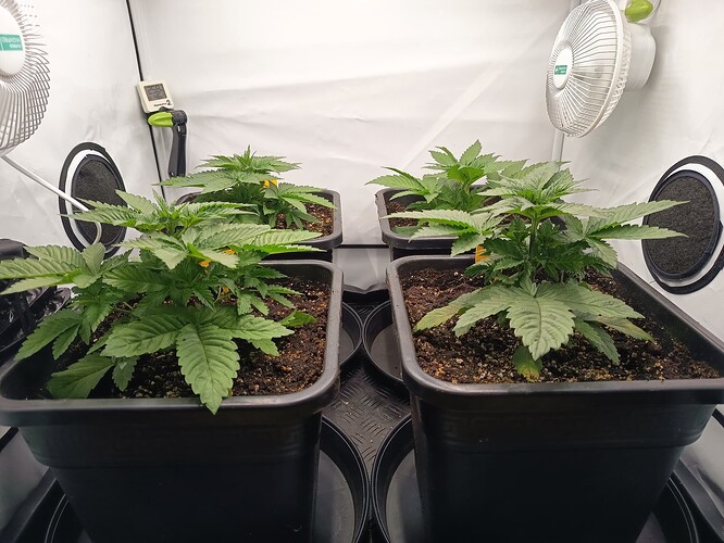 Growreport Bild 9