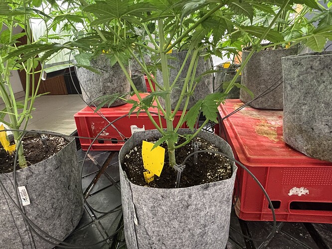 Growreport Bild 14
