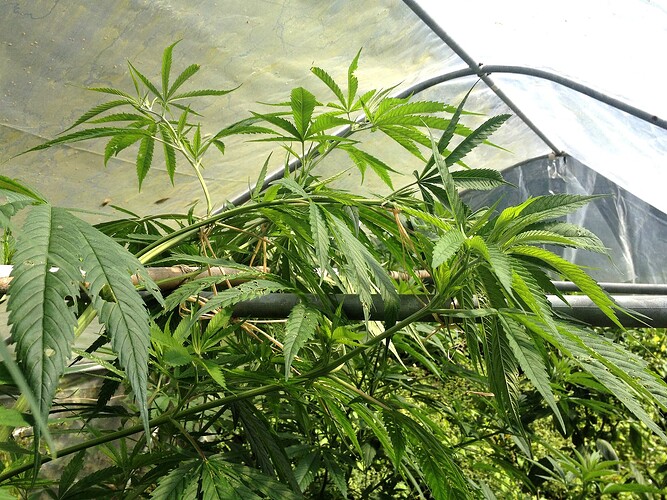 Growreport Bild 8