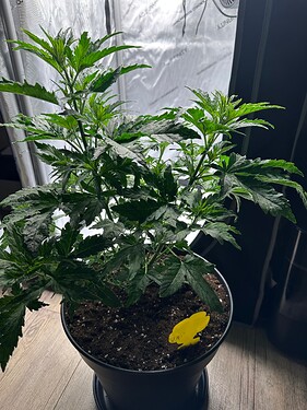 Growreport Bild 24