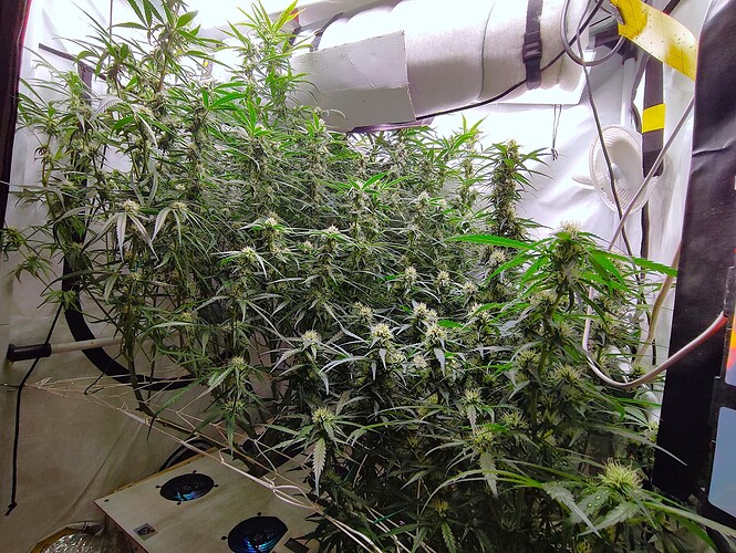 Growreport Bild 15